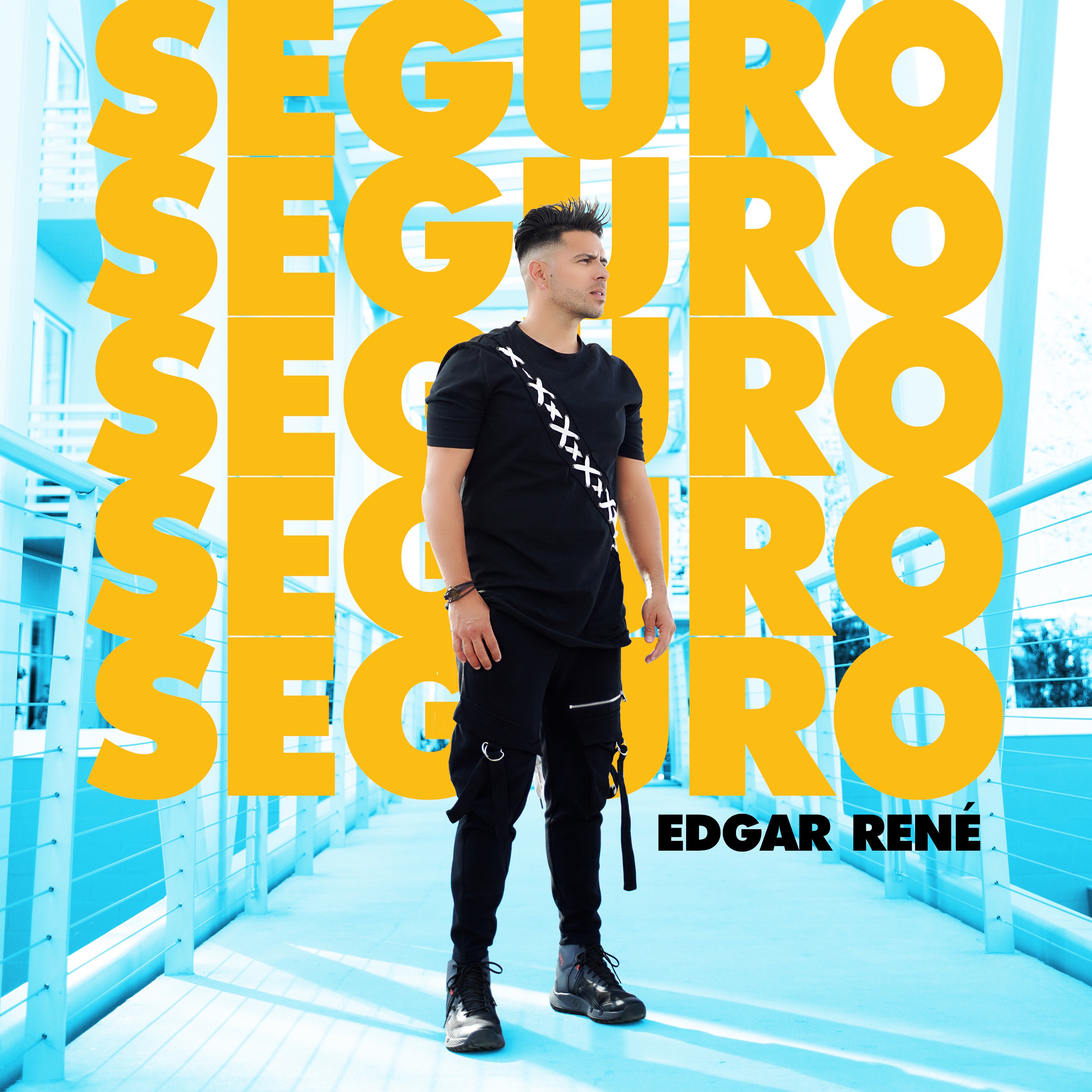 Portada de Seguro